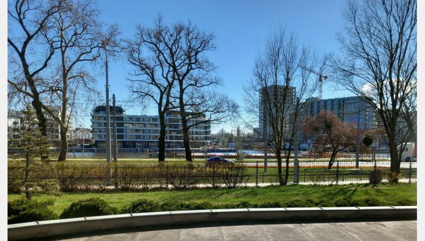 Lokal Wynajem Szczecin Śródmieście