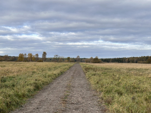 Działka Sprzedaż Niedźwiedź