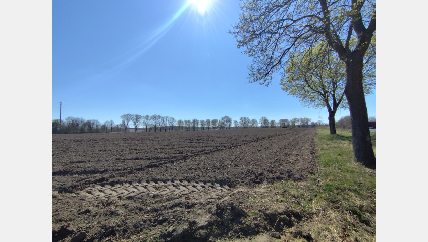Działka Sprzedaż Wojcieszyn