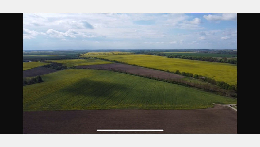 Działka Sprzedaż Pyrzyce