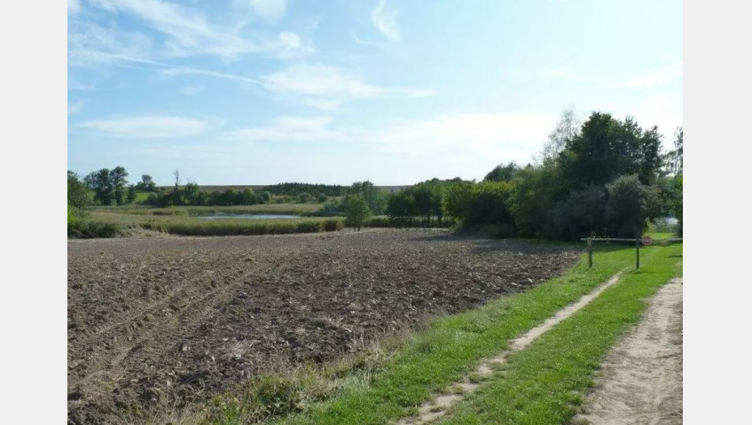 Działka Sprzedaż Zieleniewo