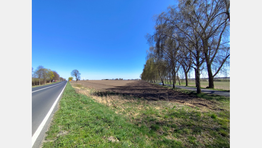 Działka Sprzedaż Wojcieszyn