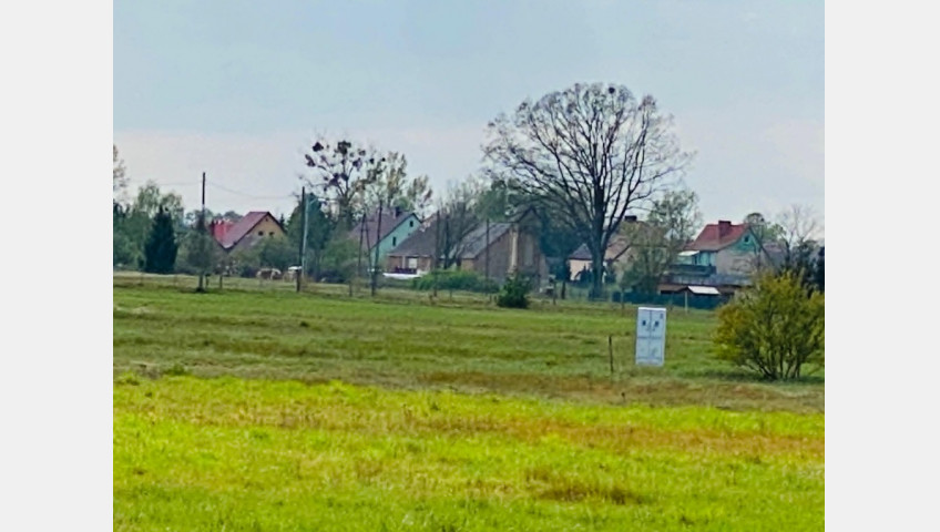 Działka Sprzedaż Miłowo