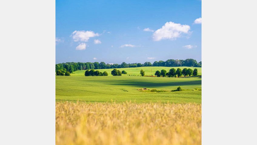 Działka Sprzedaż Przemocze