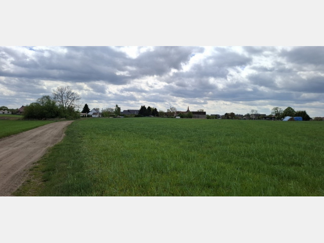 Działka Sprzedaż Bagna