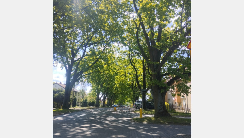 Mieszkanie Sprzedaż Szczecin Warszewo Szwedzka