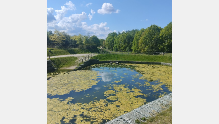 Mieszkanie Sprzedaż Szczecin Warszewo Szwedzka