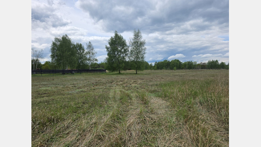 Działka Sprzedaż Grzepnica