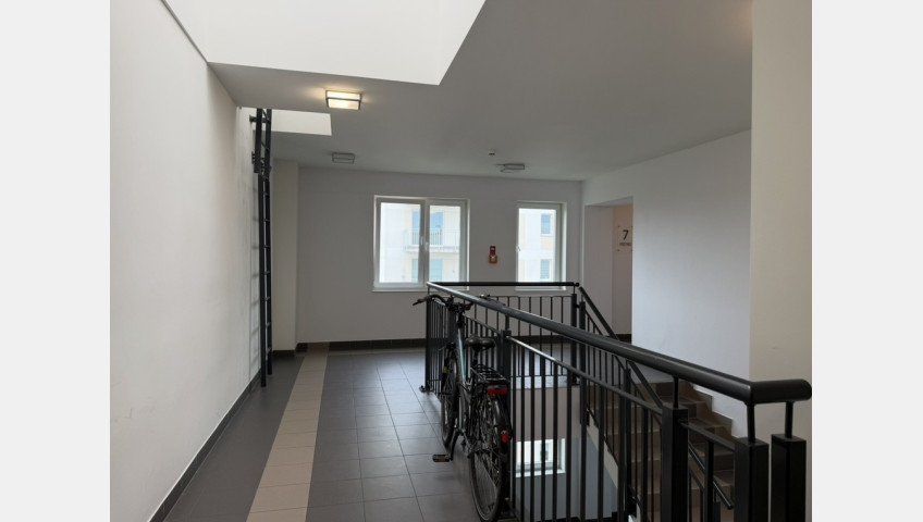 Mieszkanie Wynajem Szczecin Warszewo Panoramiczna