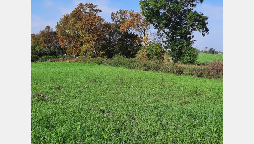 Działka Sprzedaż Kurów Na Klifie