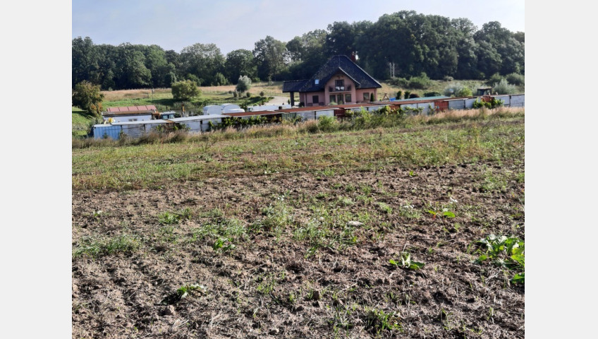 Działka Sprzedaż Kurów Na Klifie