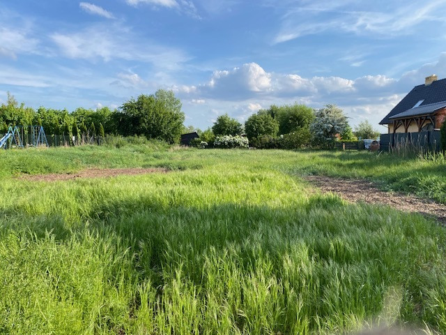 Działka Sprzedaż Kopice