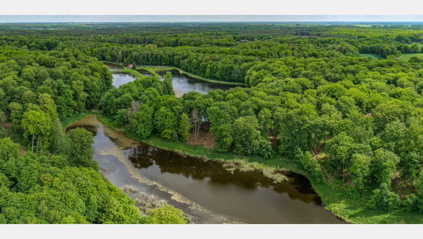 Działka Sprzedaż Wisławie