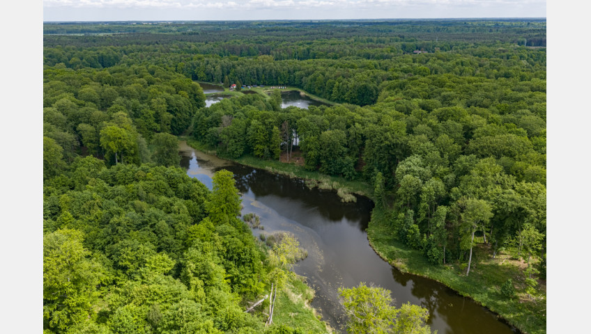 Działka Sprzedaż Wisławie