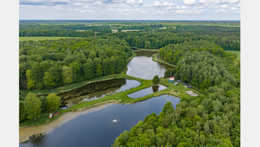 Działka Sprzedaż Wisławie