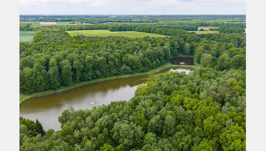 Działka Sprzedaż Wisławie