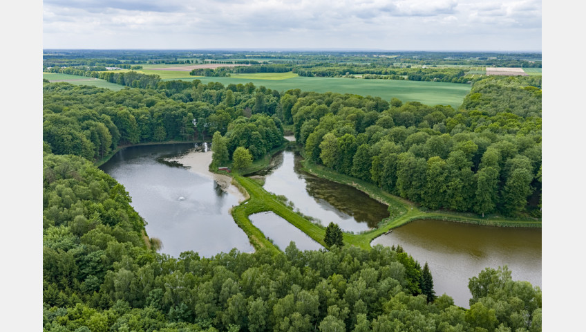 Działka Sprzedaż Wisławie