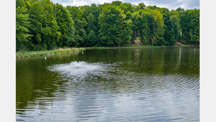 Działka Sprzedaż Wisławie