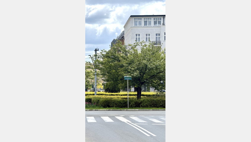 Mieszkanie Sprzedaż Szczecin Centrum Monte Cassino