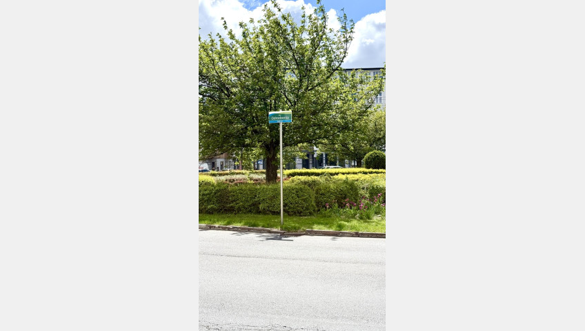 Mieszkanie Sprzedaż Szczecin Centrum Monte Cassino
