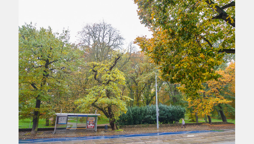 Mieszkanie Sprzedaż Szczecin Śródmieście Jacka Malczewskiego