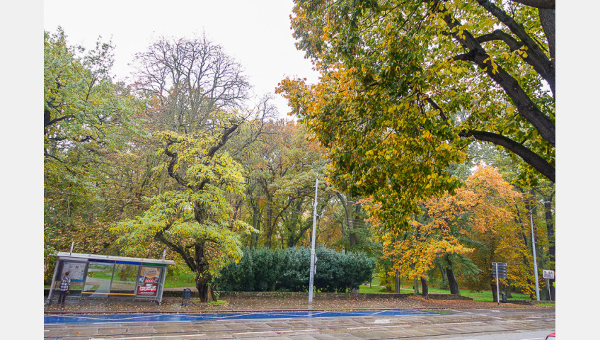 Mieszkanie Sprzedaż Szczecin Śródmieście Jacka Malczewskiego