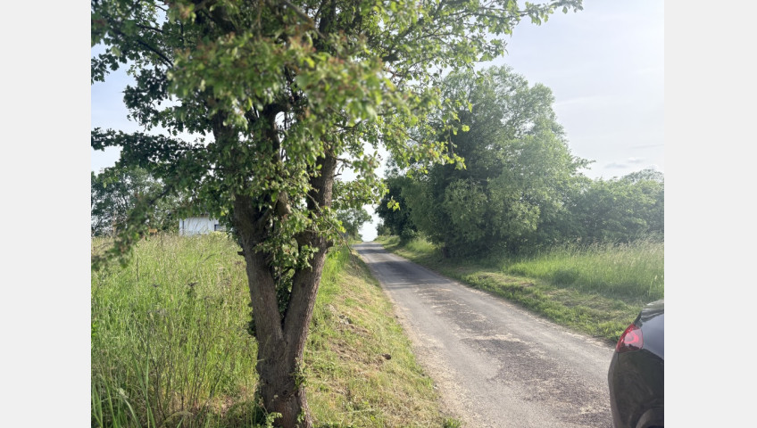 Działka Sprzedaż Przęsocin