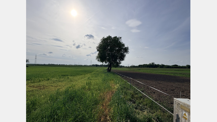 Działka Sprzedaż Przęsocin