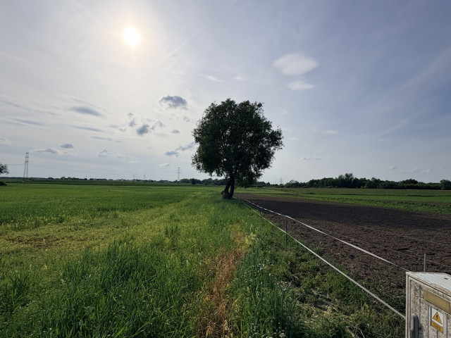 Działka Sprzedaż Przęsocin