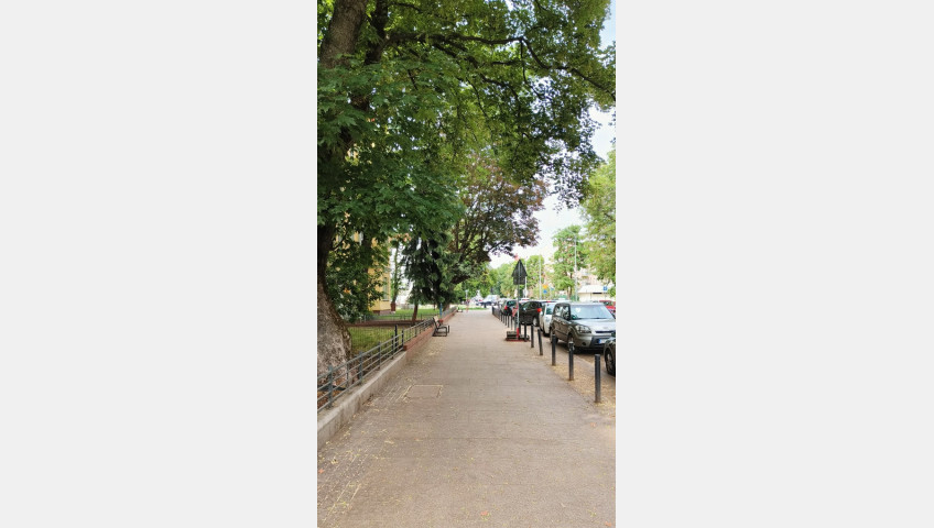 Mieszkanie Wynajem Szczecin Centrum Bolesława Śmiałego