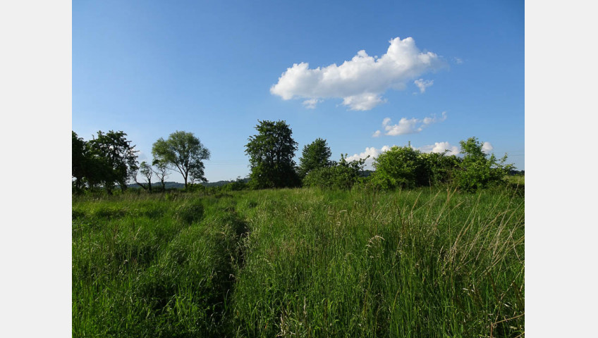 Działka Sprzedaż Binowo