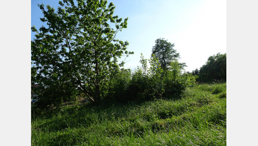 Działka Sprzedaż Binowo
