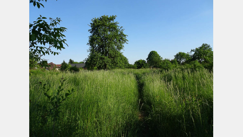 Działka Sprzedaż Binowo