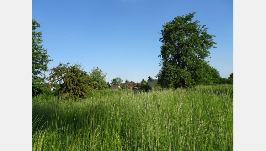 Działka Sprzedaż Binowo