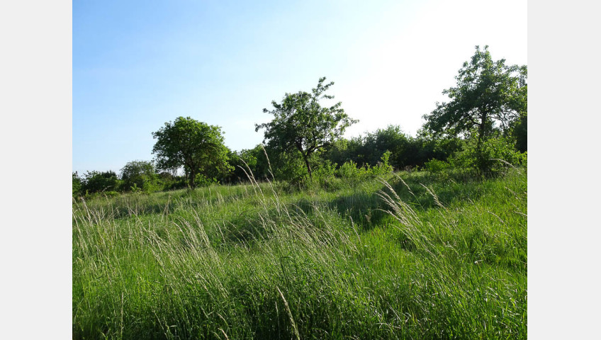 Działka Sprzedaż Binowo