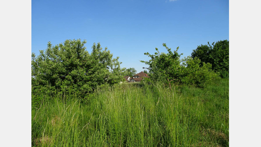 Działka Sprzedaż Binowo