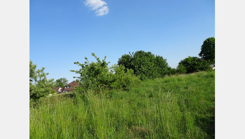 Działka Sprzedaż Binowo