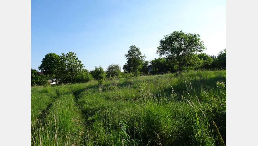 Działka Sprzedaż Binowo