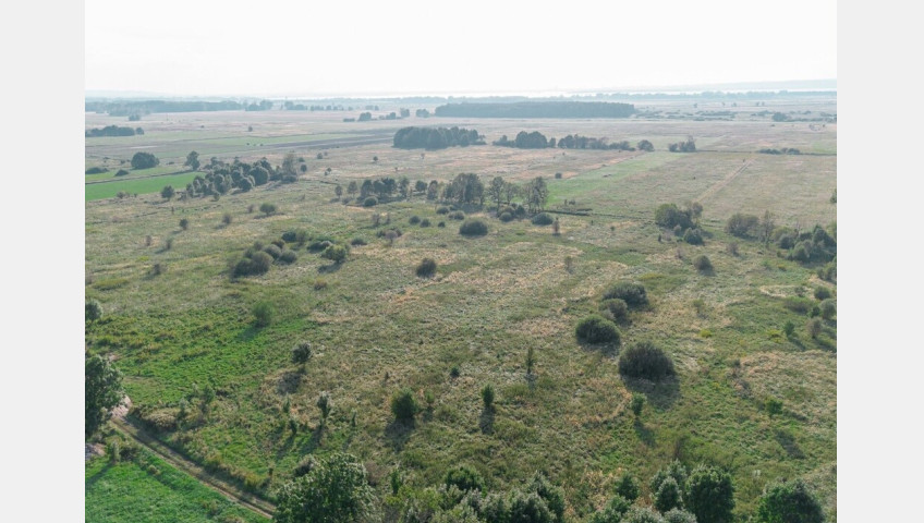Działka Sprzedaż Rurzyca