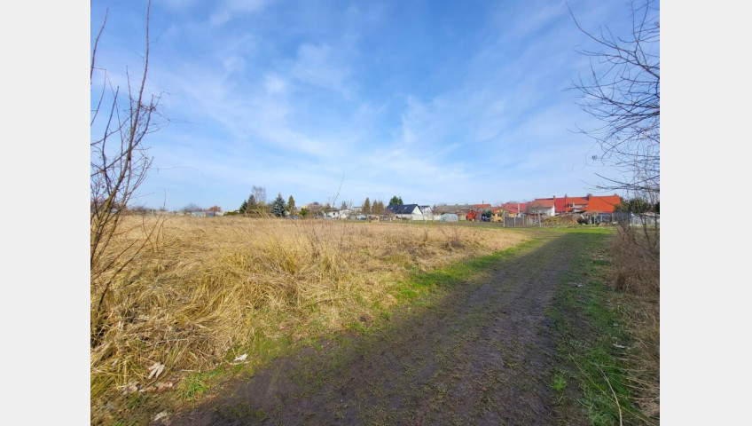 Działka Sprzedaż Koszewo