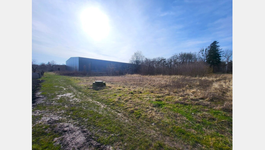 Działka Sprzedaż Koszewo