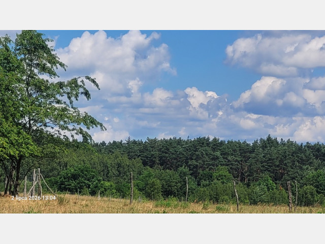 Działka Sprzedaż Wiśniewo