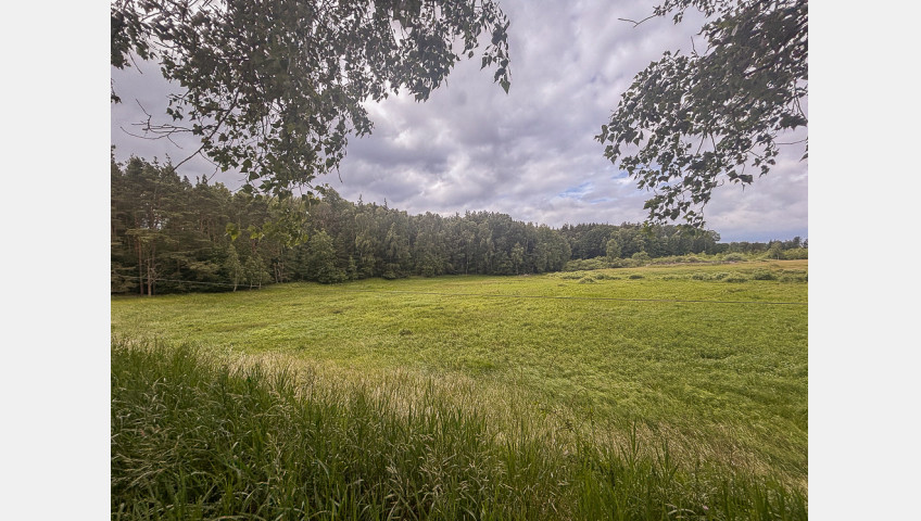 Działka Sprzedaż Piaseczno