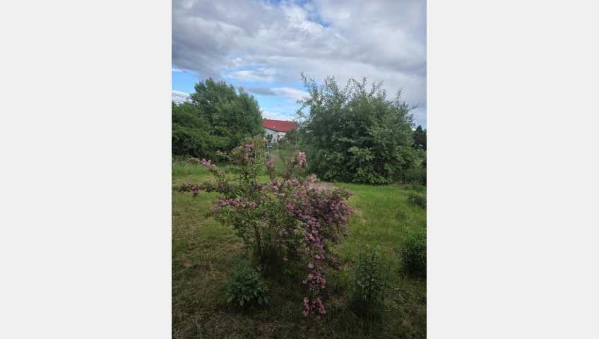 Dom Sprzedaż Przęsocin Lazurowa