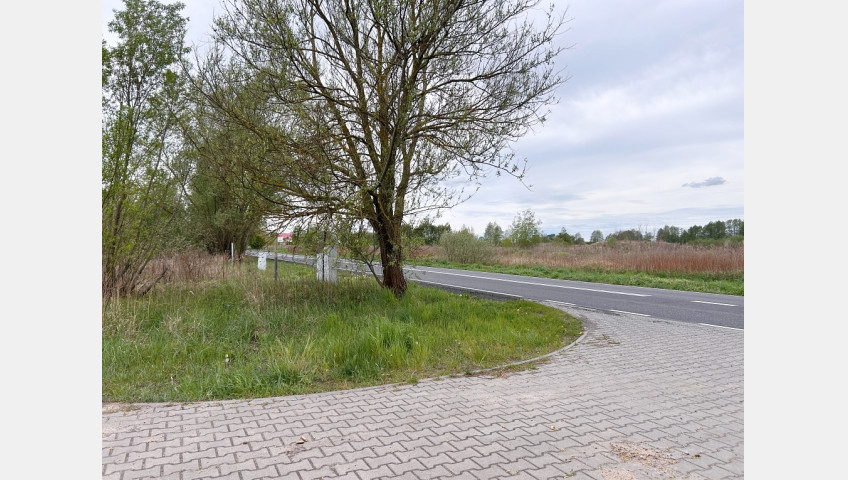 Działka Sprzedaż Szczecin Dąbie Lubczyńska