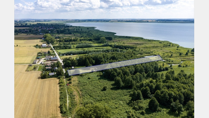 Działka Sprzedaż Wierzbno