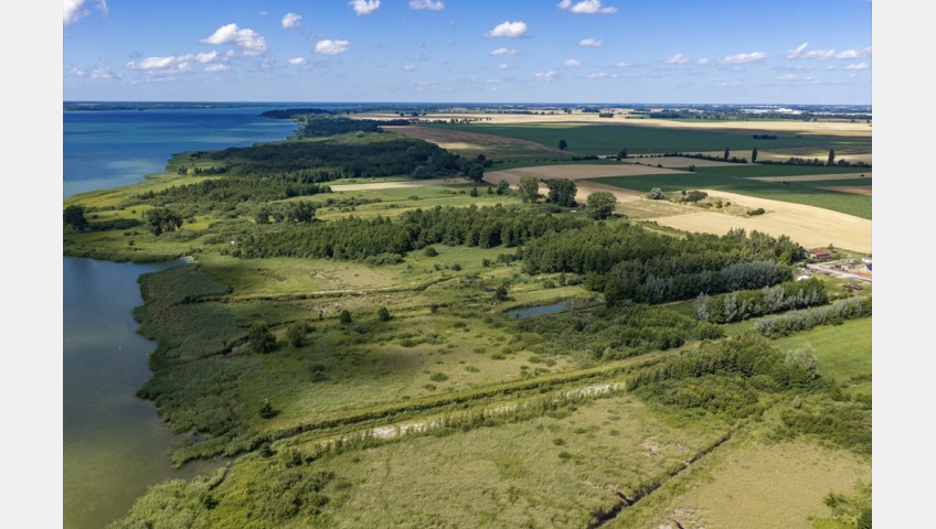 Działka Sprzedaż Wierzbno