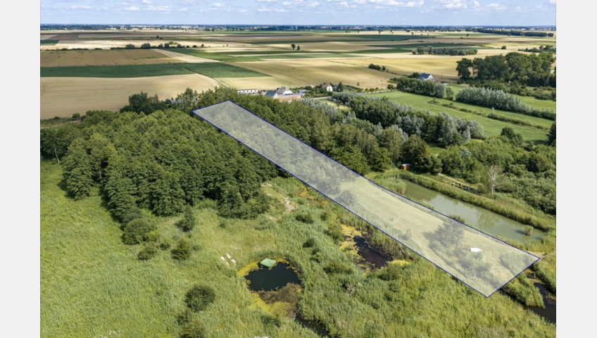 Działka Sprzedaż Wierzbno