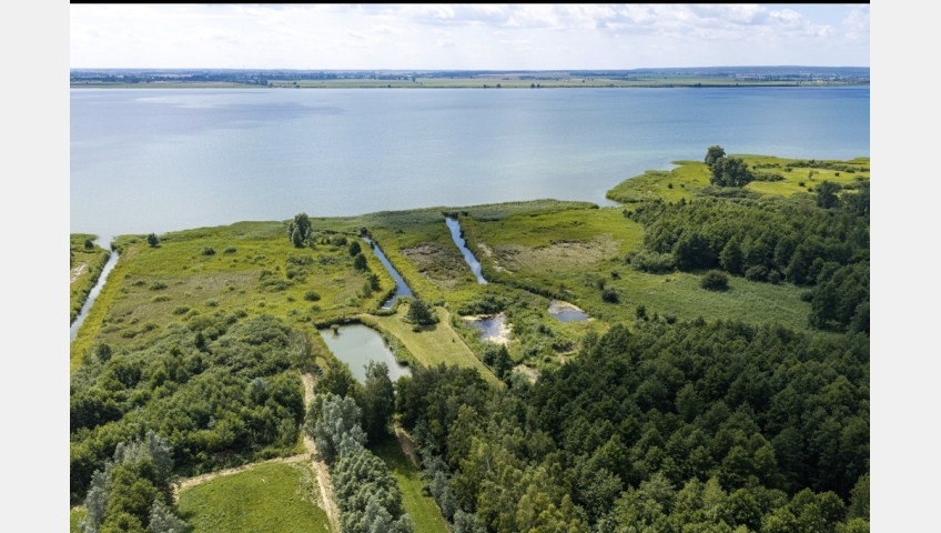 Działka Sprzedaż Wierzbno