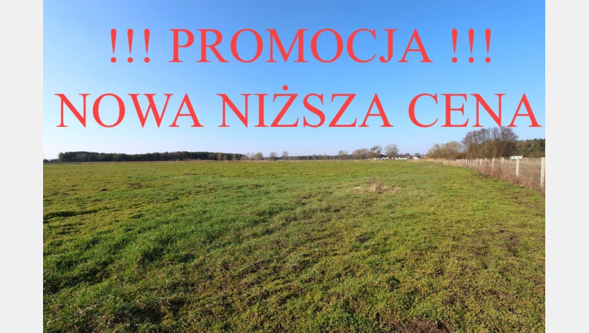 Działka Sprzedaż Lubczyna